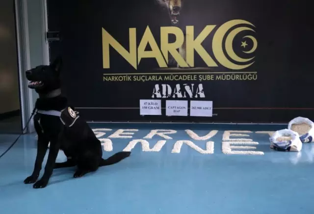 'Servet Anne' adlı uyuşturucu operasyonunda 282 bin adet 'captagon hap' ele geçirildi 'Servet Anne' adlı uyuşturucu operasyonunda 282 bin adet 'captagon hap' ele geçirildi