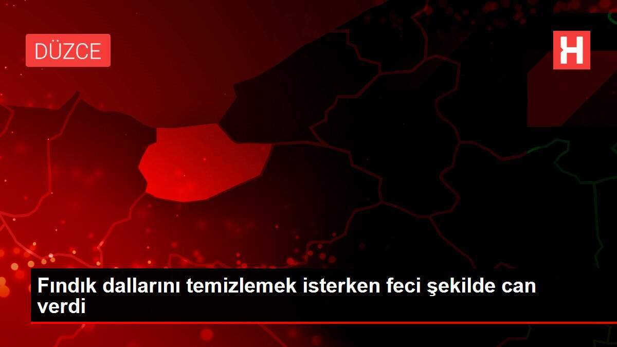 Fındık dallarını temizlemek isterken feci şekilde can verdi