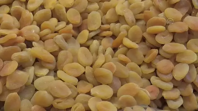 Kuru kayısının ihracat değeri kilogramda 1,2 dolar arttı Kuru kayısının ihracat değeri kilogramda 1,2 dolar arttı