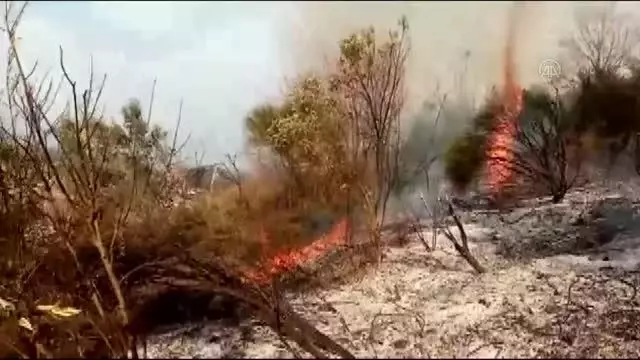 Makilik alanda çıkan yangın söndürüldü Makilik alanda çıkan yangın söndürüldü