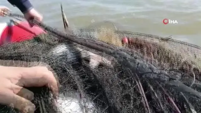Terkos Gölünde kaçak avlanma denetimi