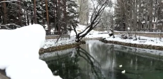 Hitit dönemine ait 3 bin yıllık tarım anıtı kar yağışıyla beyaza büründü