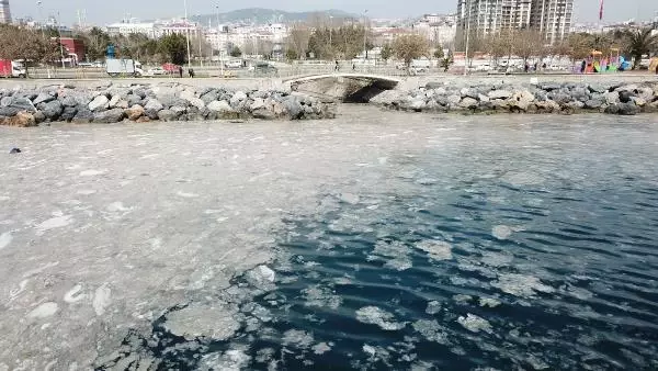 PENDİK VE KARTAL SAHİLİNDE TEDİRGİN EDEN GÖRÜNTÜ PENDİK VE KARTAL SAHİLİNDE TEDİRGİN EDEN GÖRÜNTÜ