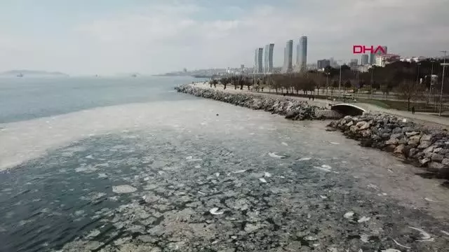 PENDİK VE KARTAL SAHİLİNDE TEDİRGİN EDEN GÖRÜNTÜ -1 PENDİK VE KARTAL SAHİLİNDE TEDİRGİN EDEN GÖRÜNTÜ -1
