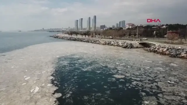 PENDİK VE KARTAL SAHİLİNDE TEDİRGİN EDEN GÖRÜNTÜ -1 PENDİK VE KARTAL SAHİLİNDE TEDİRGİN EDEN GÖRÜNTÜ -1
