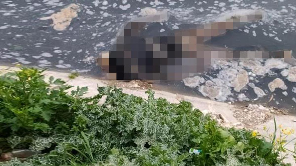 Su kanalında bir erkeğe ait cansız beden bulundu