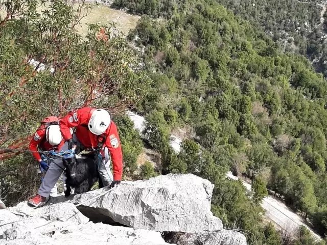 AKUT'tan 5 saatlik keçi kurtarma operasyonu AKUT'tan 5 saatlik keçi kurtarma operasyonu