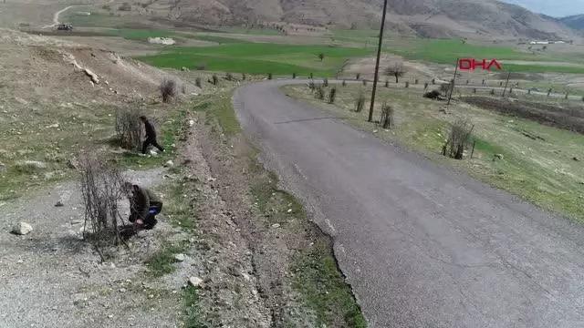 Diyarbakır'ın köyünde 'Yeşil Bursa' gibi olmak için 1000 fidan dikildi