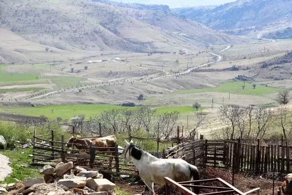 Diyarbakır'ın köyünde 'Yeşil Bursa' gibi olmak için 1000 fidan dikildi