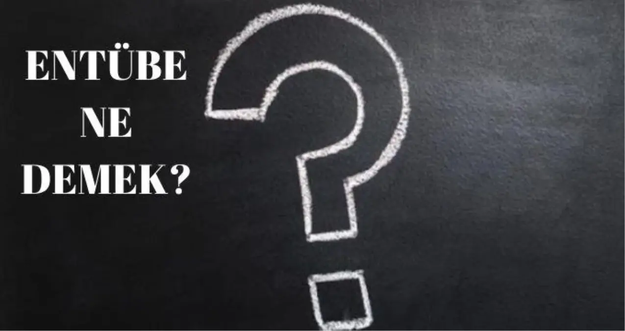 Entübe ne demek? Entübasyon nedir?
