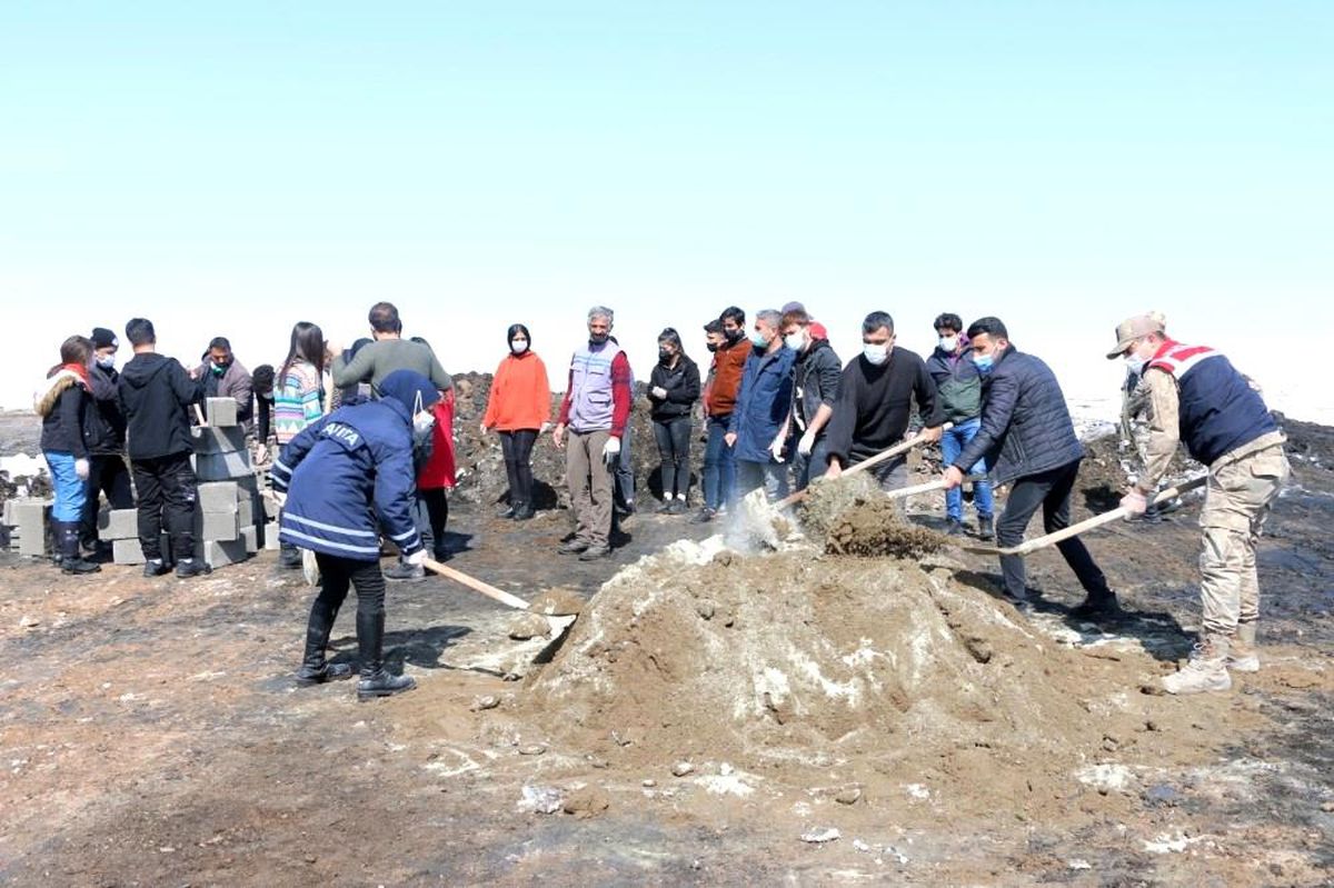Erciş'te sokak hayvanları sıcak yuvalarına kavuştu
