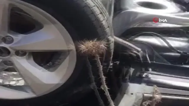 Jipleri taşıyan tır yoldan çıktı, Nissan'lar tarlaya savruldu