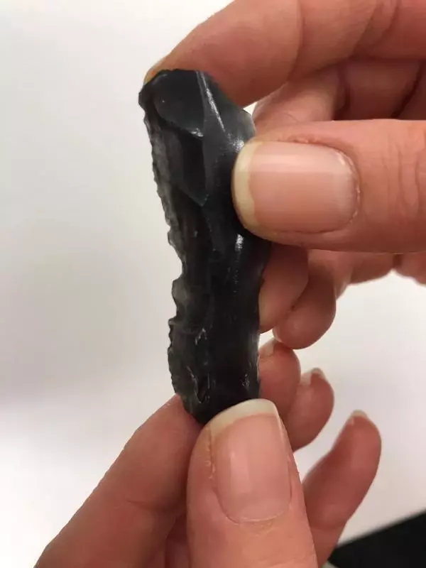 Karadeniz'de ilk insanların yaşadığı mağarayı defineciler, talan etmiş