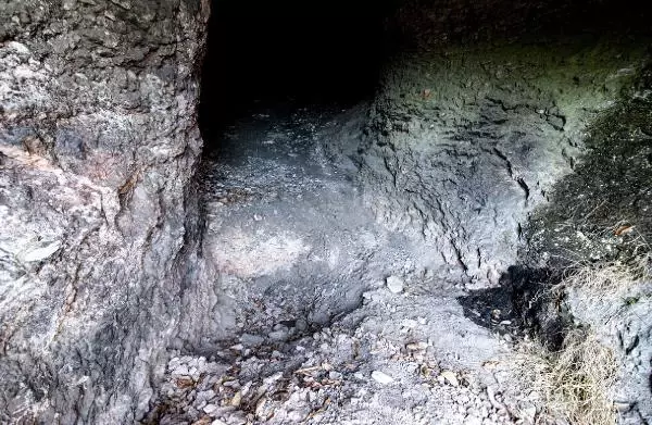 Karadeniz'de ilk insanların yaşadığı mağarayı defineciler, talan etmiş