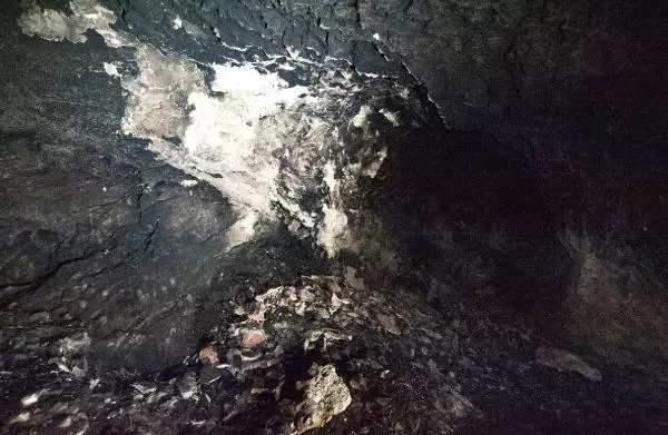 Karadeniz'de ilk insanların yaşadığı mağarayı defineciler, talan etmiş