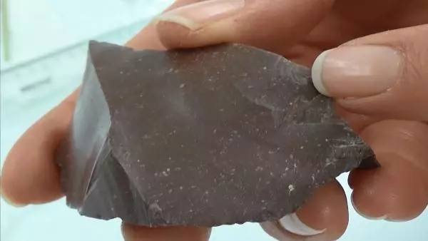 Karadeniz'de ilk insanların yaşadığı mağarayı defineciler, talan etmiş