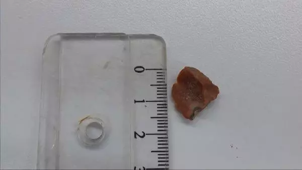 Karadeniz'de ilk insanların yaşadığı mağarayı defineciler, talan etmiş