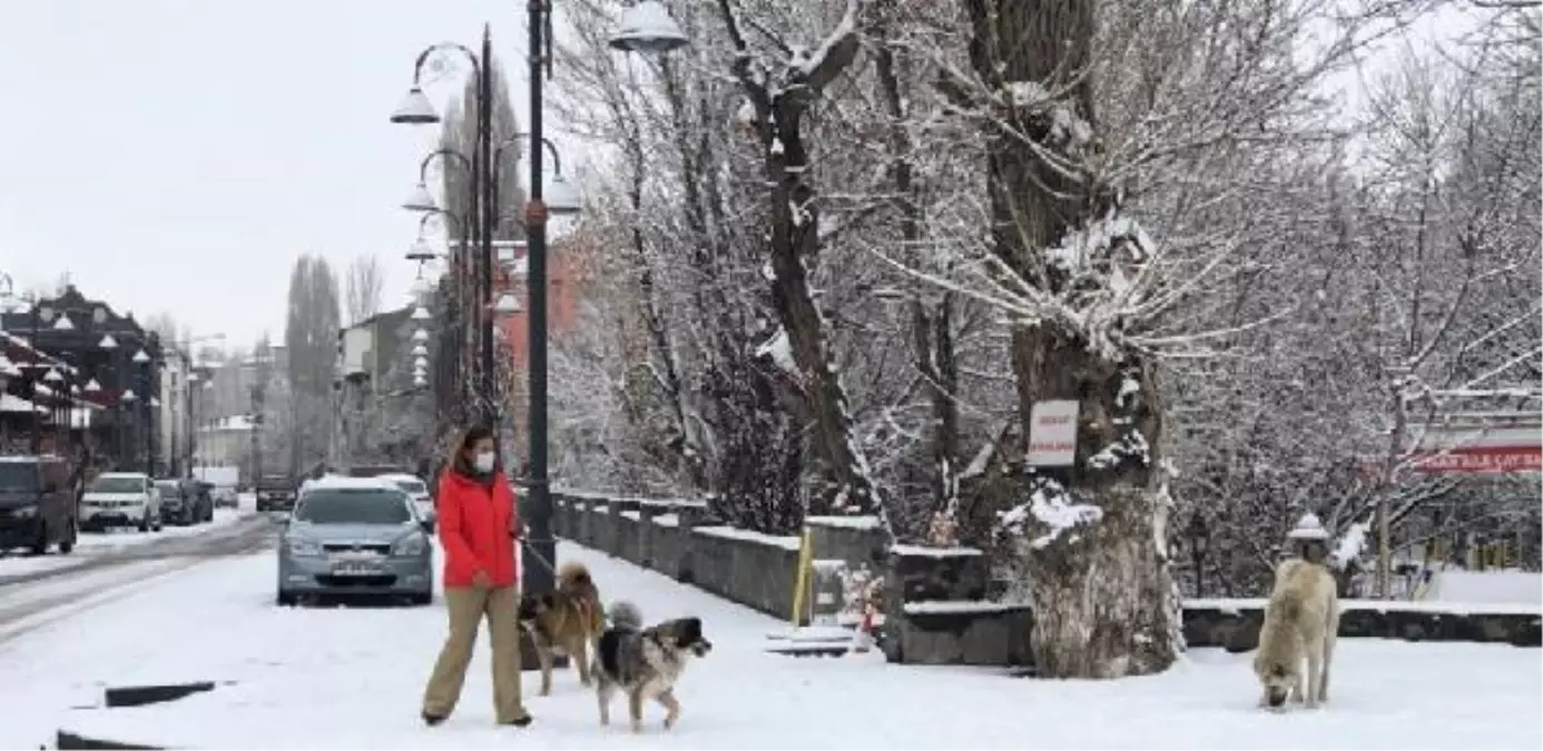 Kars, kar yağışıyla bembeyaz