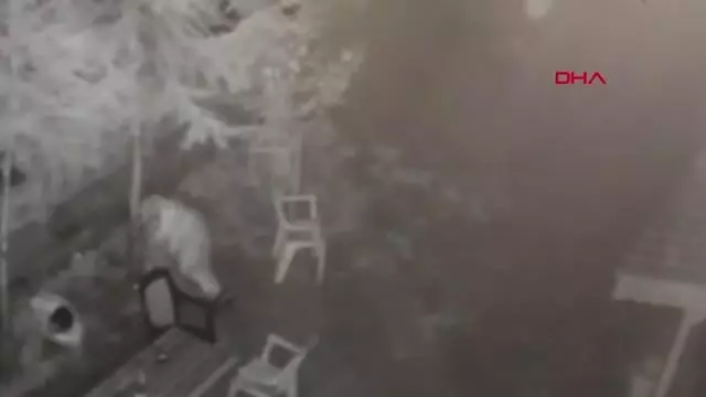 Son dakika haber... KONYA Selamını almadıkları iddiasıyla 2 kişiyi öldüren sanığa, 3 kez ağırlaştırılmış müebbet istemi Son dakika haber... KONYA Selamını almadıkları iddiasıyla 2 kişiyi öldüren sanığa, 3 kez ağırlaştırılmış müebbet istemi