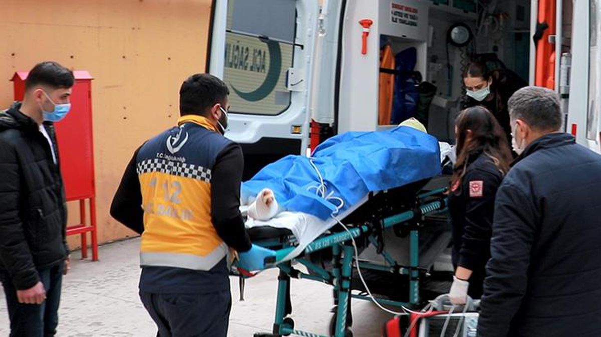 Kozalak toplarken yüksek gerilim hattına değen adamın tüm vücudu yandı