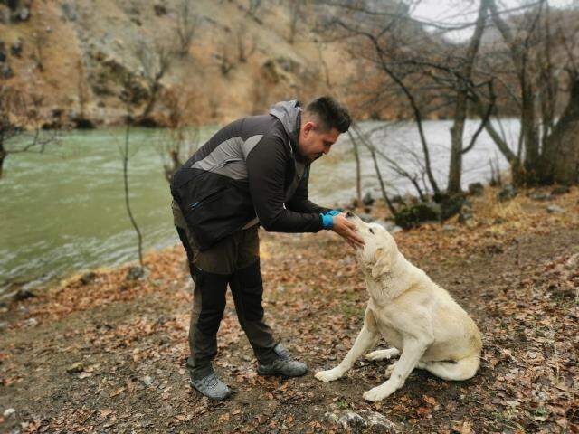 Munzur Çayı'na düşen köpeği kurtarmak için buz gibi suya girdi