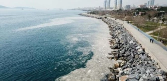 Pendik ve Kartal sahilindeki kirliliğin sebebi belli oldu: Deniz salyası
