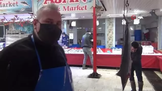 Tavşanlı'da dev Zargana balığı görenlerin ilgini çekiyor