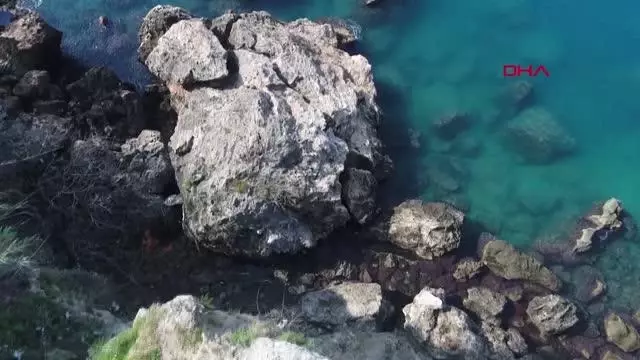 ANTALYA Doğa Koruma, falezlere ışıklandırmanın iptalini istedi ANTALYA Doğa Koruma, falezlere ışıklandırmanın iptalini istedi