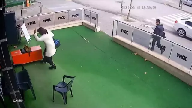 Son dakika: Başkent'te bir kadın uyuyan hamile kediye önce vurdu sonra da elindeki çantayı fırlattı... O anlar kamerada Son dakika: Başkent'te bir kadın uyuyan hamile kediye önce vurdu sonra da elindeki çantayı fırlattı... O anlar kamerada