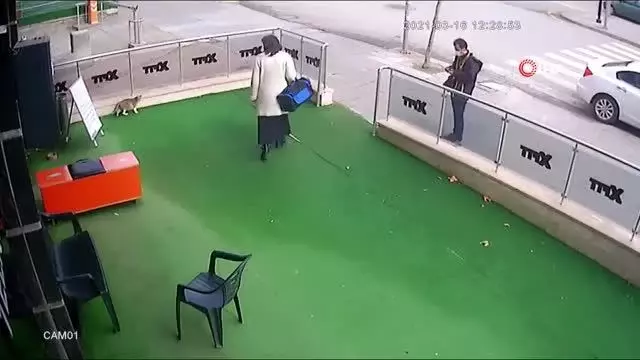 Son dakika: Başkent'te bir kadın uyuyan hamile kediye önce vurdu sonra da elindeki çantayı fırlattı... O anlar kamerada Son dakika: Başkent'te bir kadın uyuyan hamile kediye önce vurdu sonra da elindeki çantayı fırlattı... O anlar kamerada