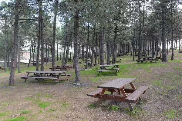 Son dakika... Enez'de mesire alanları kapatıldı Son dakika... Enez'de mesire alanları kapatıldı