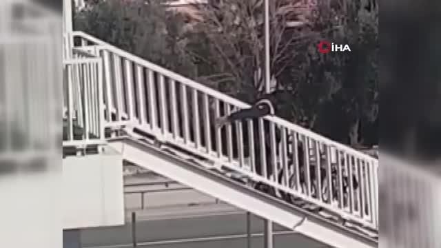 engelli vatandasa iskence gibi uygulama kamer 13999273 o
