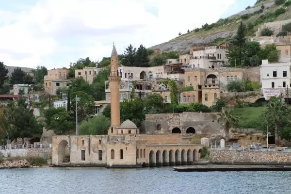 ŞANLIURFA - Halfeti'nin endemik bitkisi 'karagül' tescillendi ŞANLIURFA - Halfeti'nin endemik bitkisi 'karagül' tescillendi