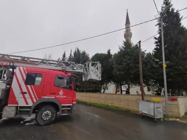 SİLİVRİ'DE TELEFON DİREĞİNDE MAHSUR KALAN YAVRU KEDİYİ İTFAİYE KURTARDI SİLİVRİ'DE TELEFON DİREĞİNDE MAHSUR KALAN YAVRU KEDİYİ İTFAİYE KURTARDI