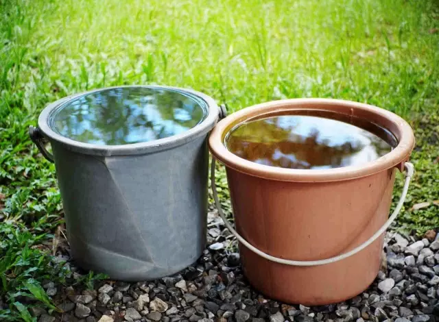 Su Tasarrufu Yapmayı Sağlayacak 20 Tüyo Su Tasarrufu Yapmayı Sağlayacak 20 Tüyo