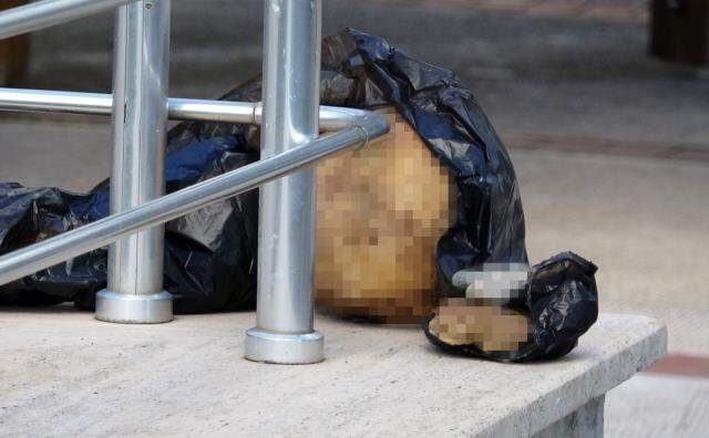 Üniversite bahçesinde insana ait bir kafatası bulundu