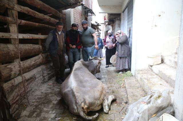 Artvin'de küle dönen köyün son 24 yılda 3 kez yandığı ortaya çıktı
