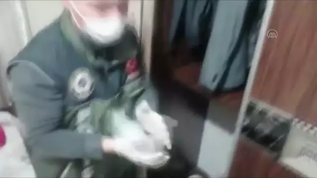 Son dakika haberleri! Avcılar'da sahte para ve altın operasyonunda 4 kişi yakalandı Son dakika haberleri! Avcılar'da sahte para ve altın operasyonunda 4 kişi yakalandı