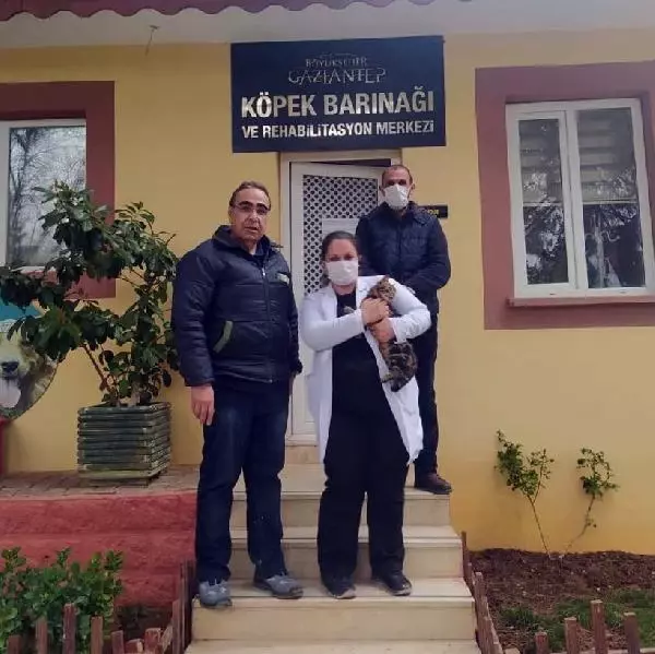 Son dakika haberi! Çivili sopayla kediye işkence yapıp, zabıtayı darbeden şüpheli gözaltına alındı Son dakika haberi! Çivili sopayla kediye işkence yapıp, zabıtayı darbeden şüpheli gözaltına alındı