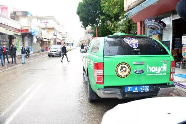 ADANA Hatalı sollama yapan sürücünün kediyi ezdiği anlar kamerada
