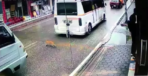 ADANA Hatalı sollama yapan sürücünün kediyi ezdiği anlar kamerada
