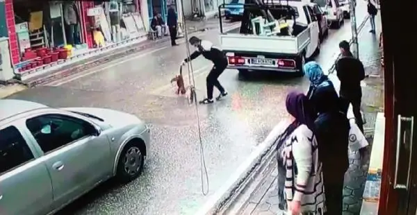 ADANA Hatalı sollama yapan sürücünün kediyi ezdiği anlar kamerada