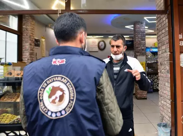 ADANA Hatalı sollama yapan sürücünün kediyi ezdiği anlar kamerada
