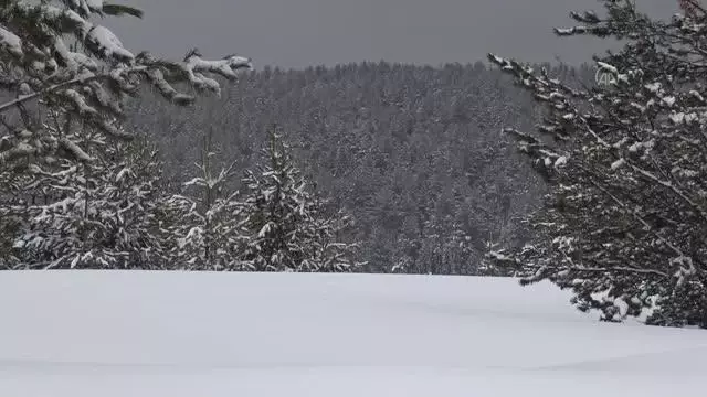 Kar yağışı etkili oldu Kar yağışı etkili oldu