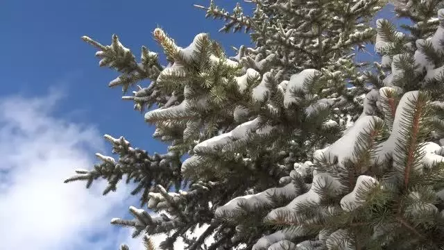 Kar yağışı etkili oldu Kar yağışı etkili oldu