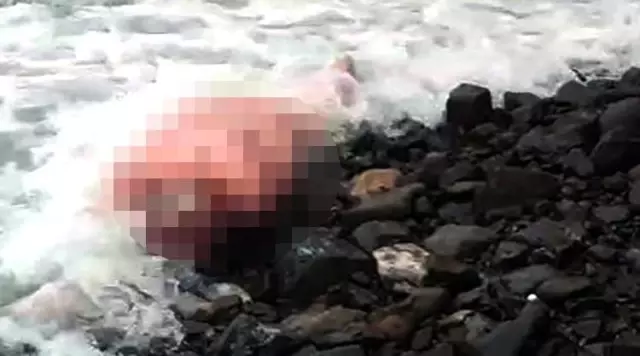 Kayıp yaşlı adamın cansız bedeni 30 kilometre uzakta bulundu