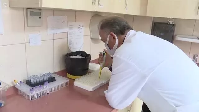 Kovid-19 tedbirlerine daha fazla uyulursa bahar ve yaz ayları rahat geçirilebilecek uyarısı