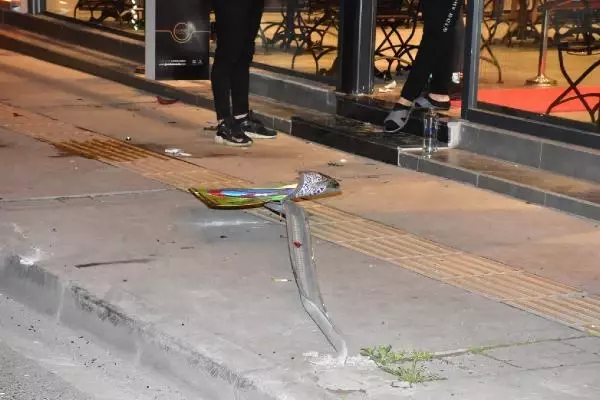Park halindeki 2 araca çarpıp, kendi aracındaki 2 yaralıyı terk edip kaçtı: 3 yaralı Park halindeki 2 araca çarpıp, kendi aracındaki 2 yaralıyı terk edip kaçtı: 3 yaralı