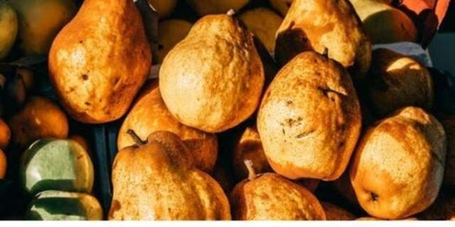 Rüyada armut görmek ne demek? Rüyada dalında armut yemek ne manaya gelir? Rüyada çürük armut görmek ne demek? Rüyada armut görmek ne demek? Rüyada dalında armut yemek ne manaya gelir? Rüyada çürük armut görmek ne demek?