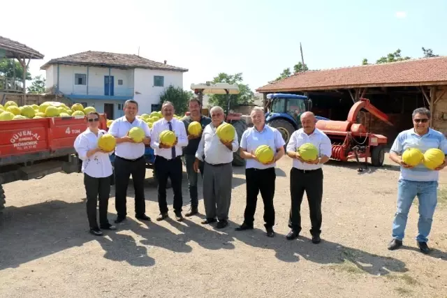 Son Dakika | Sungurlu'nun 10 dilim kavunu marka oluyor Son Dakika | Sungurlu'nun 10 dilim kavunu marka oluyor